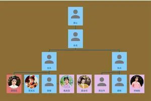 《红楼梦》